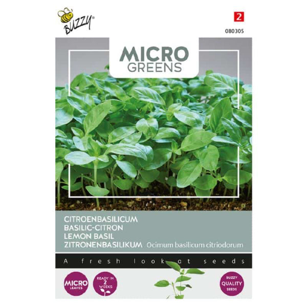 MicroGreen Bazsalikom Lemon  Bz H