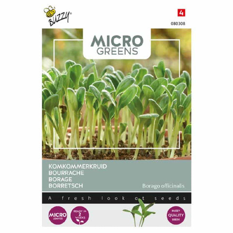 MicroGreens Borágo  Bz H