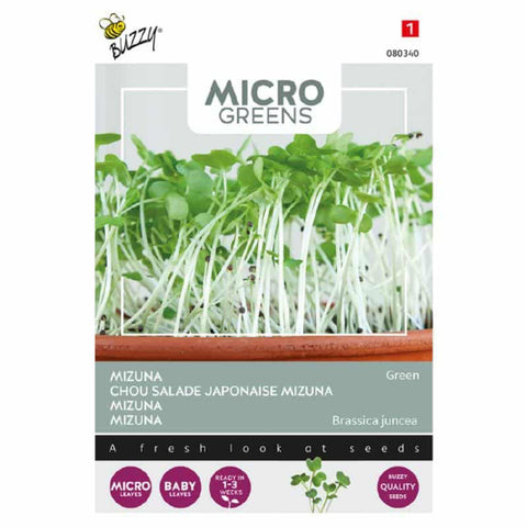 MicroGreens Japán kel Mizuna Bz H