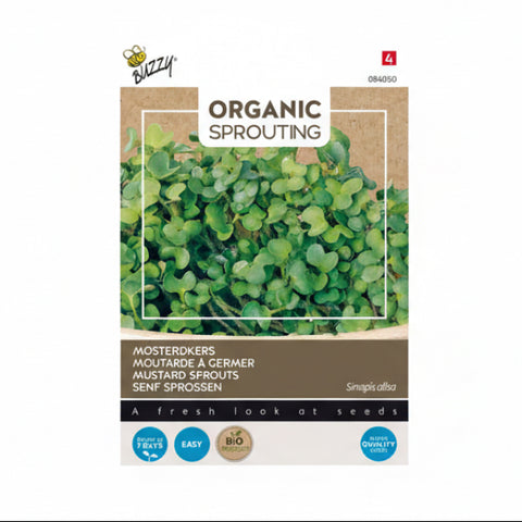Organic Sprounting Fehér mustár  Bz H