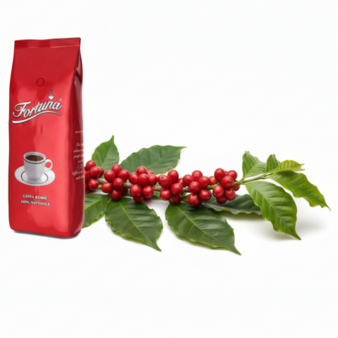 Fortuna szemes kávé 1 kg